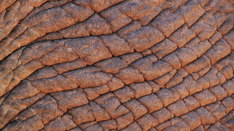 script feedback thick skin