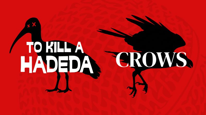 to kill a hadeda and crows - audio drama