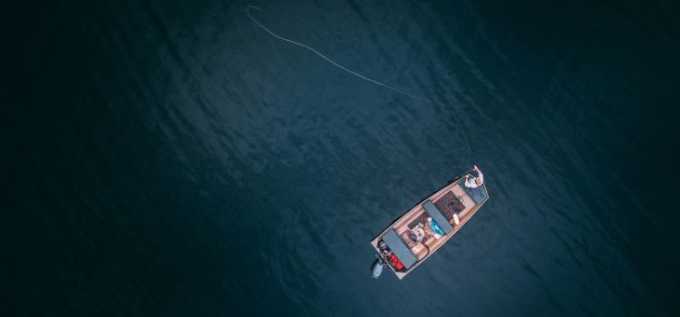 screenwriting perspective