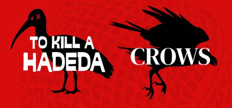 to kill a hadeda and crows - audio drama