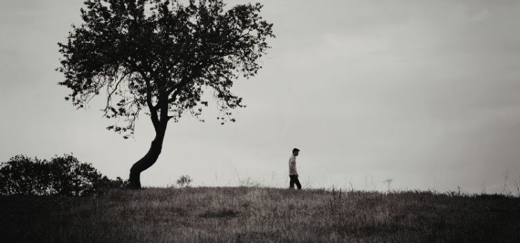 The Myth of the Solitary Auteur the solitary auteur